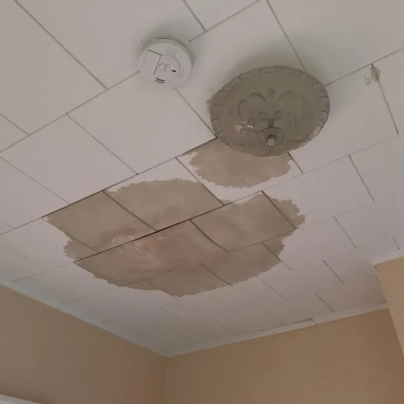 Ceiling Water Damage Repair in Dickinson, TX