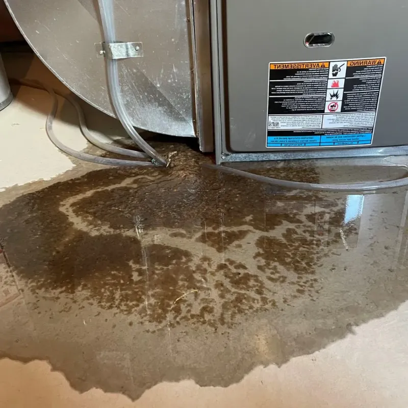 Pipe Burst and Leak Restoration in Dickinson, TX